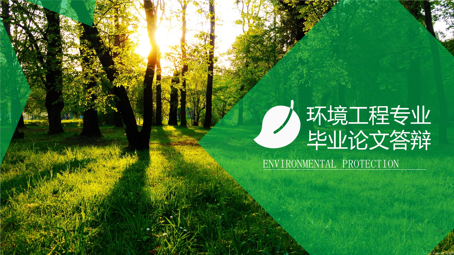 环境工程专业毕业论文答辩 基于生态修复技术在环保工程中的应用与效益分析